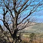 Granville House And Garden Hotel apartamentowy Ballyferriter