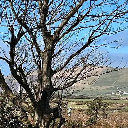 Granville House And Garden Hotel apartamentowy Ballyferriter