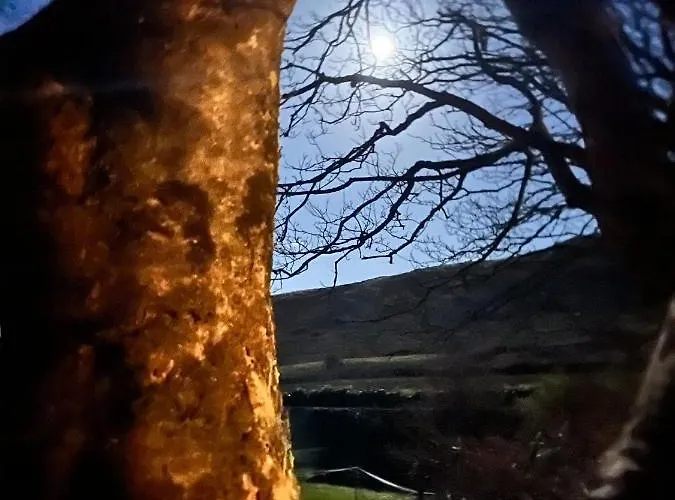 Granville House And Garden 4* 巴里菲尔特