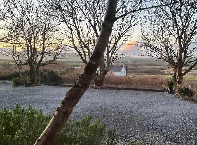 Granville House And Garden 4* 巴里菲尔特