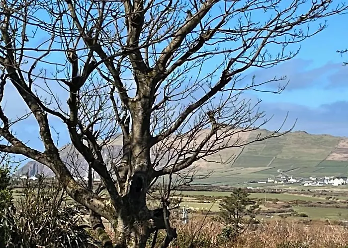 Granville House And Garden 公寓式酒店 巴里菲尔特