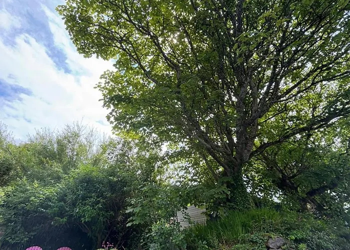 Granville House And Garden